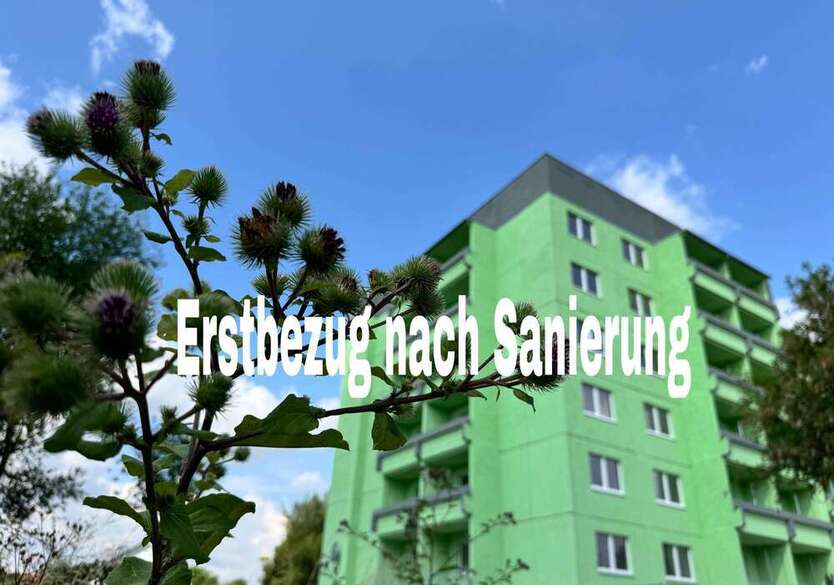Wohnung zum Mieten in Rötha 408 € 54.4 m²