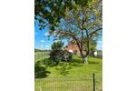 Einfamilienhaus Rodewald - 7 Zimmer, 117 m&sup2;, 1.200&euro; | Angebot:26641323