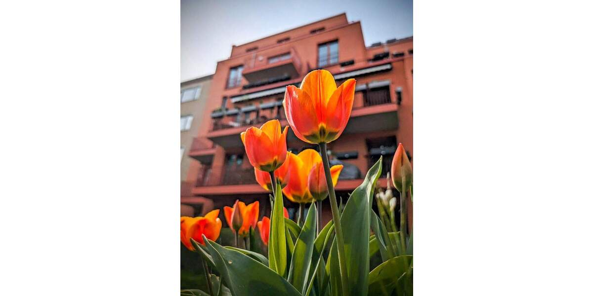 Etagenwohnung Berlin Lichterfelde - 5 Zimmer, 135 m&sup2;, 2.977&euro; | Angebot:24972209