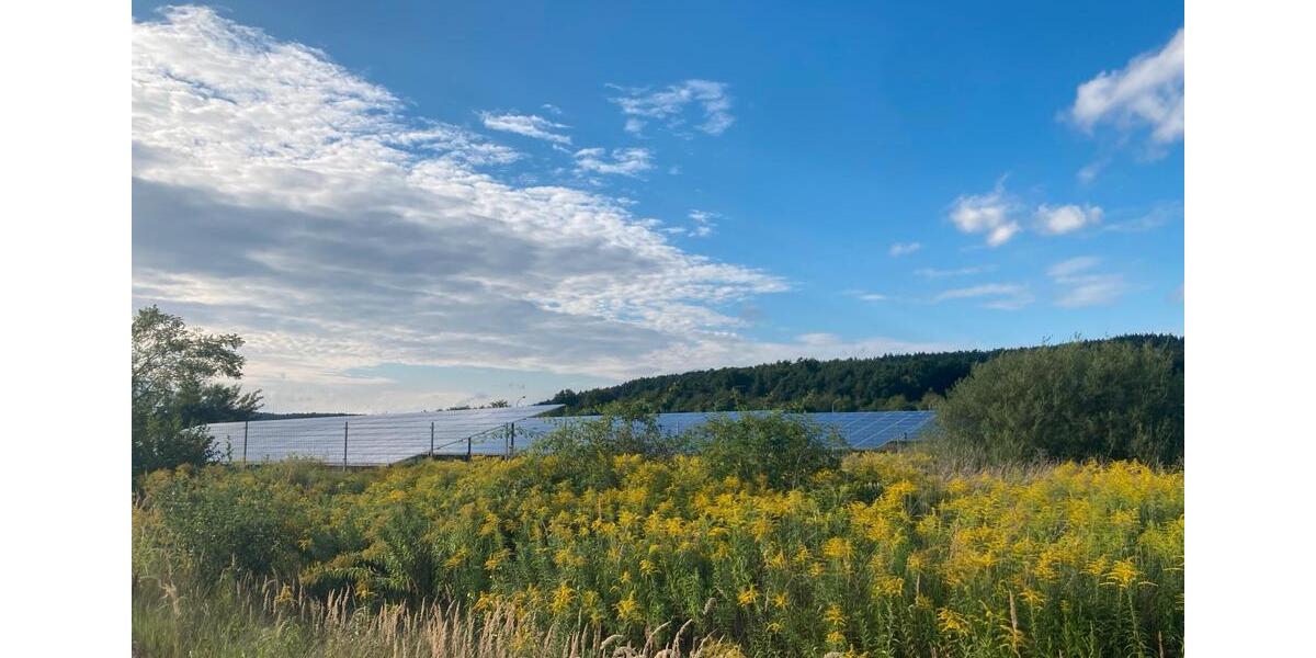 Gewerbeobjekt Steinhöfel - 750&euro; | Angebot:22532286