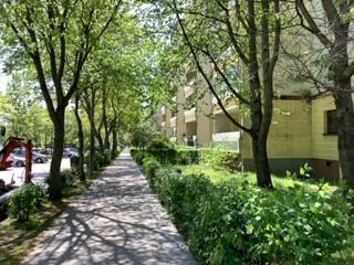 Ihr neues Zuhause: günstige 2-Zimmer-Wohnung 2 zimmer