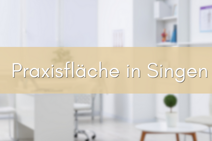 Gewerbeobjekt Singen (Hohentwiel) - 1.550&euro; | Angebot:25882738