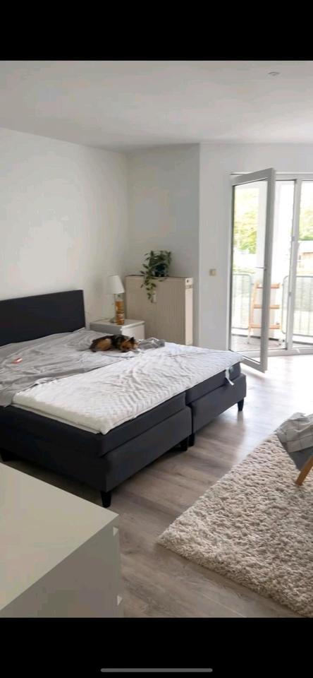 Appartement Wohnung zu vermieten ab sofort in Speyer