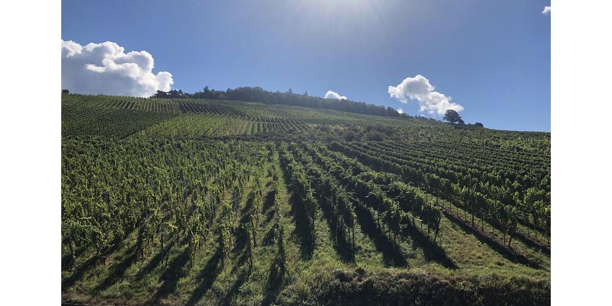 Maisonettenwohnung Baden-Baden Lichtental - 4 Zimmer, 196 m&sup2;, 1.400&euro; | Angebot:26031768