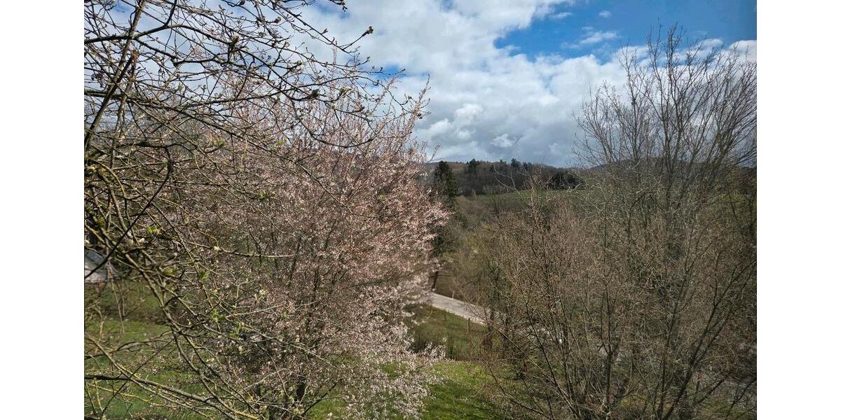 Terrassenwohnung Aalen Unterkochen - 2 Zimmer, 60 m&sup2;, 750&euro; | Angebot:25976185