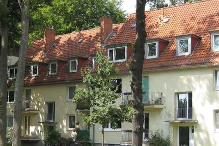 Wohnung zum Mieten in Bremen 520 € 65 m² 3 zimmer