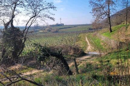 Wohnen auf Zeit Neustadt an der Weinstraße Duttweiler - 1 Zimmer, 20 m&sup2;, 520&euro; | Angebot:25379936