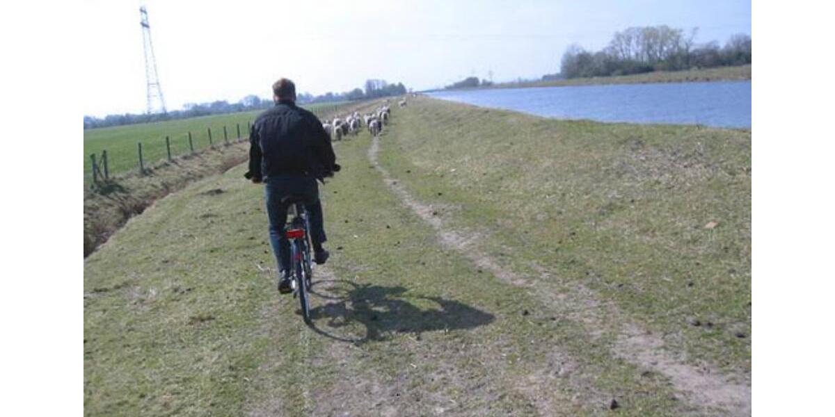 Etagenwohnung Hesel - 1 Zimmer, 18 m&sup2;, 360&euro; | Angebot:24785350