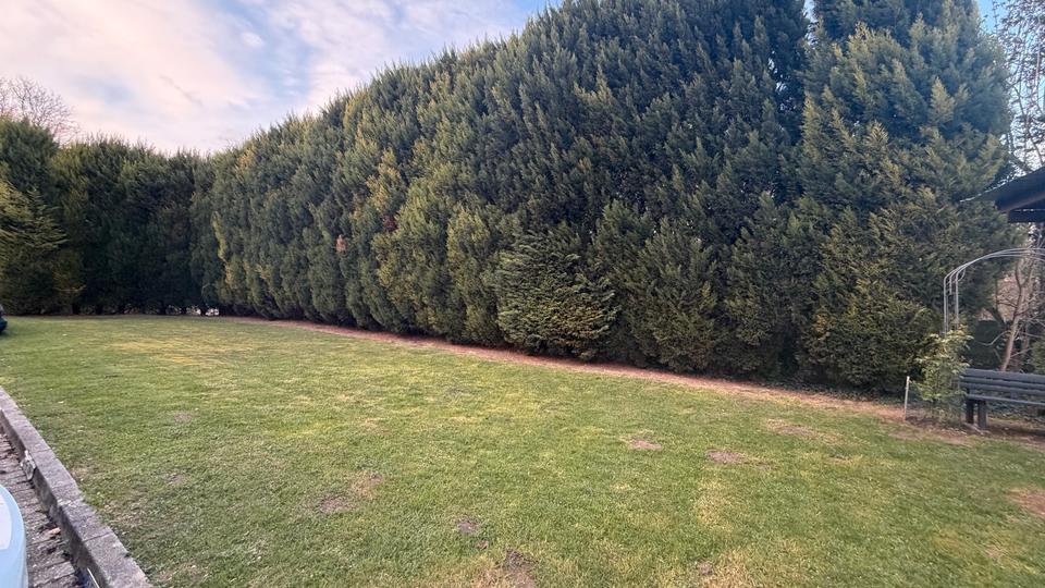 Etagenwohnung Grevenbroich - 1 Zimmer, 35 m&sup2;, 990&euro; | Angebot:26273881