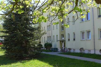 Wohnung Borna - 2 Zimmer, 45 m&sup2;, 272&euro; | Angebot:24820656