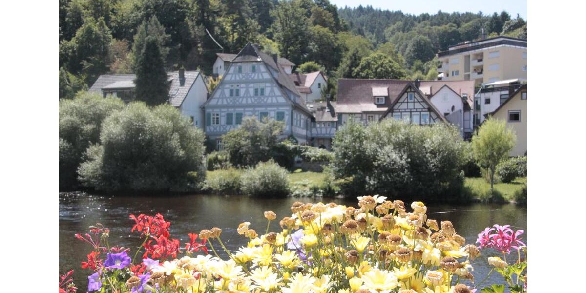 Wohnen auf Zeit Gernsbach - 1 Zimmer, 25 m&sup2;, 890&euro; | Angebot:26237673