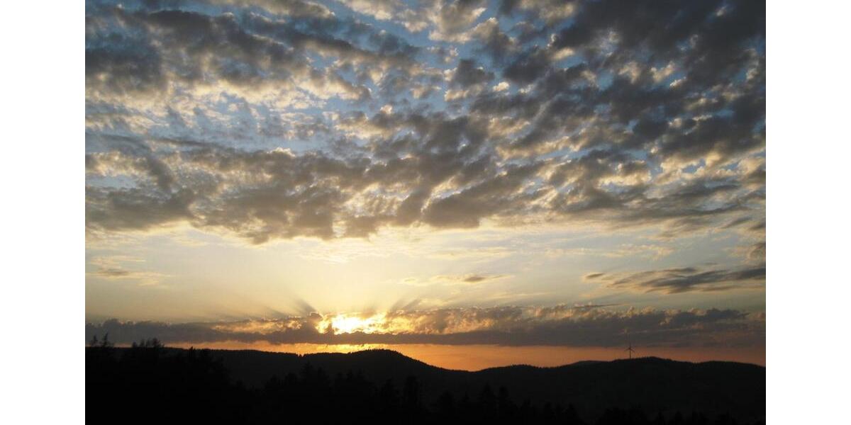 Etagenwohnung Häg-Ehrsberg Ehrsberg - 3 Zimmer, 72 m&sup2;, 720&euro; | Angebot:25855206