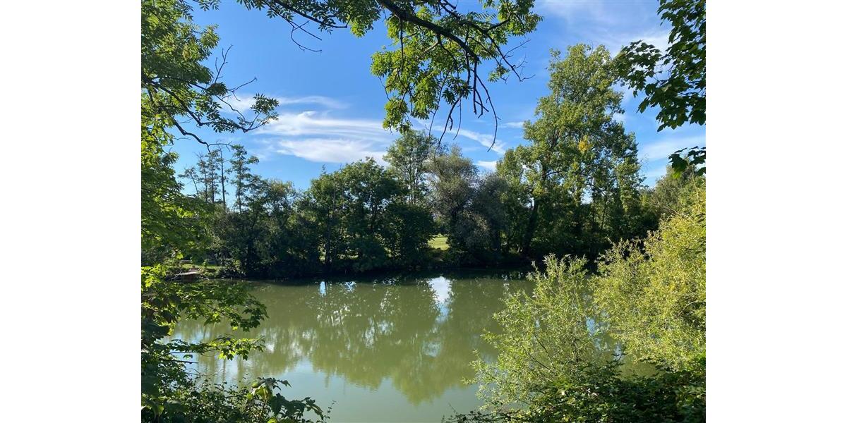 Etagenwohnung Oedheim - 2 Zimmer, 56 m&sup2;, 945&euro; | Angebot:25645768