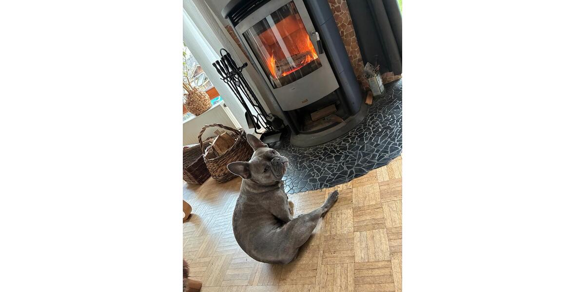 Wohnen auf Zeit Hofheim am Taunus - 500&euro; | Angebot:24868344