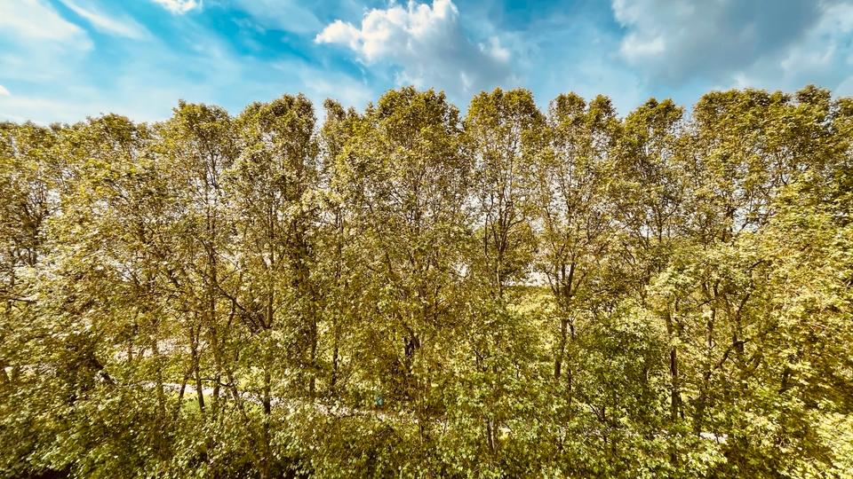Gewerbeobjekt Wiesbaden Biebrich - 1.920&euro; | Angebot:26286644