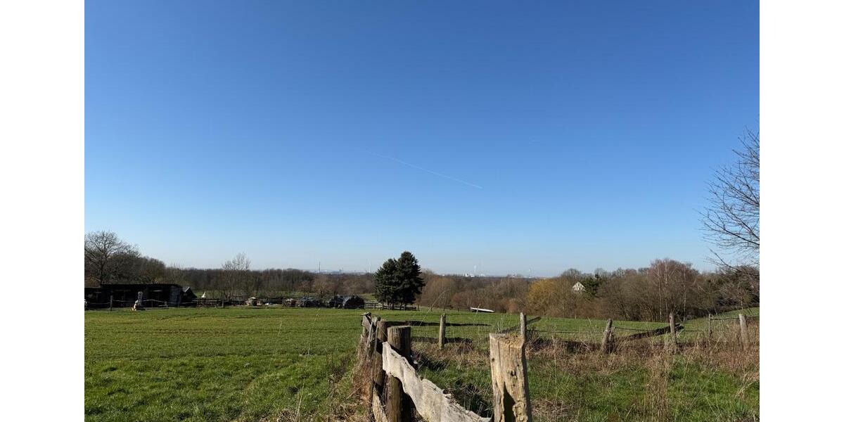 Einfamilienhaus Leverkusen Schlebusch - 4 Zimmer, 245 m&sup2;, 2.700&euro; | Angebot:25374192