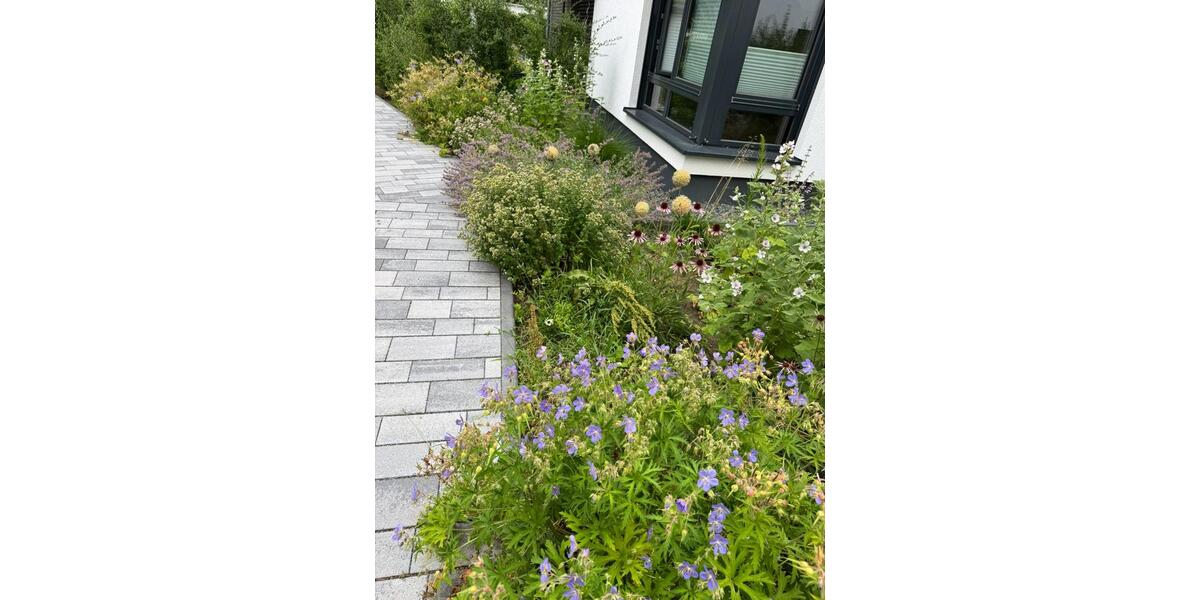 Dachgeschoßwohnung Falkensee - 2.5 Zimmer, 69 m&sup2;, 1.620&euro; | Angebot:23808834