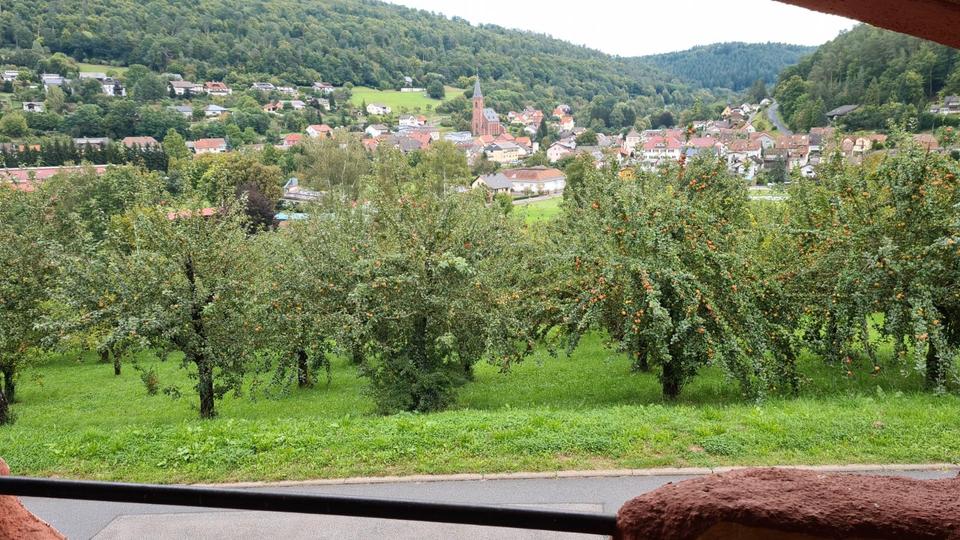 Einfamilienhaus Walldürn - 7 Zimmer, 230 m&sup2;, 2.290&euro; | Angebot:26348519