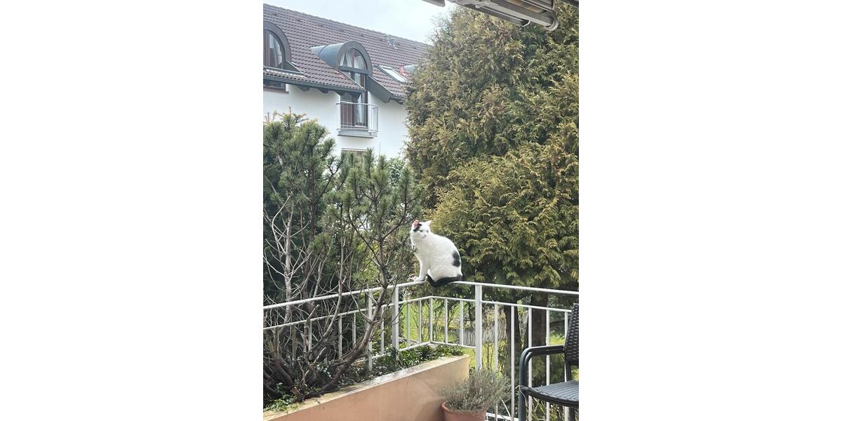 Wohnen auf Zeit Gundelfingen - 3 Zimmer, 140 m&sup2;, 400&euro; | Angebot:26237696