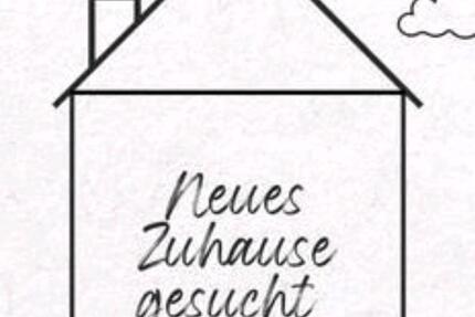 Wohnung Würzburg Frauenland - 4 Zimmer, 100 m&sup2;, 1.000&euro; | Angebot:24767935