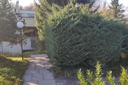 Wohnen auf Zeit Reutlingen Reutlingen (Kernstadt) - 1 Zimmer, 15 m&sup2;, 200&euro; | Angebot:25901253