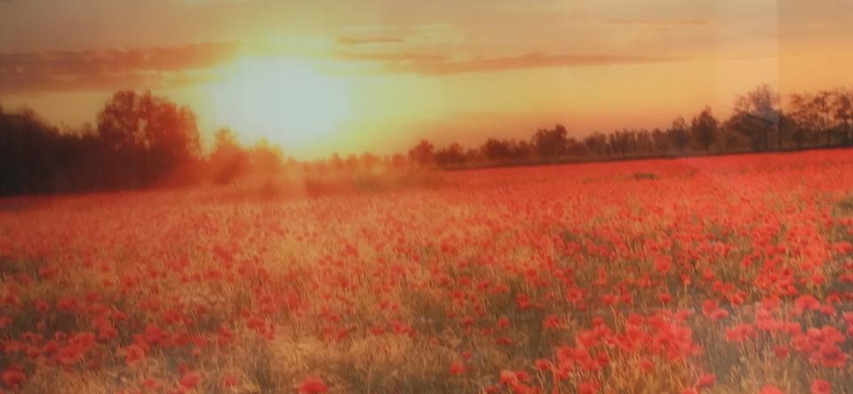 Etagenwohnung Verden (Aller) - 2 Zimmer, 75 m&sup2;, 850&euro; | Angebot:25173512