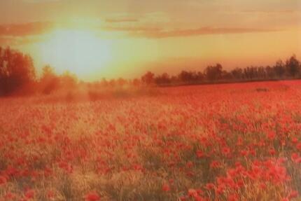 Wohnung Verden (Aller) - 2 Zimmer, 75 m&sup2;, 850&euro; | Angebot:25173512