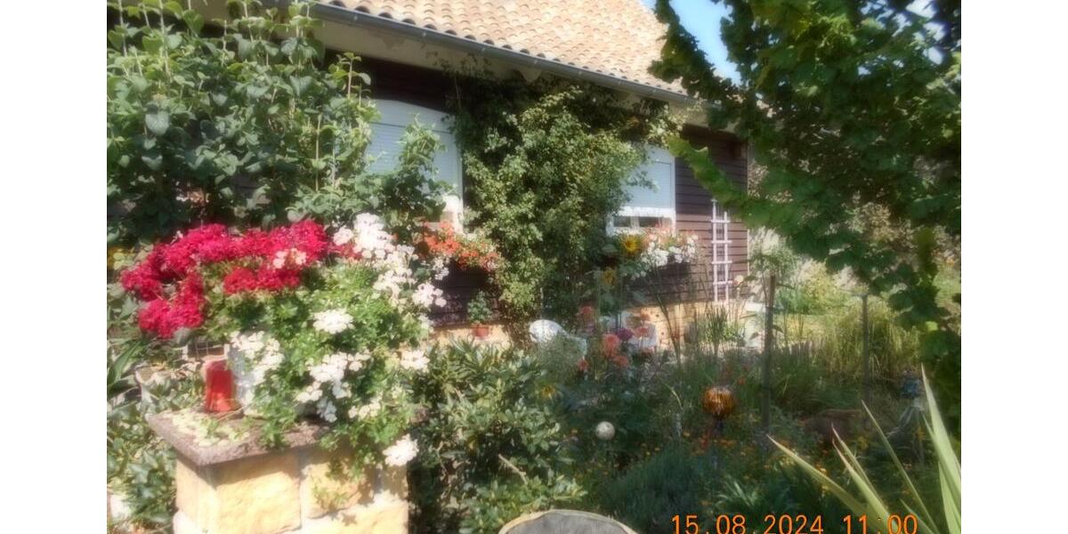 Dachgeschoßwohnung Ballenstedt - 2 Zimmer, 60 m&sup2;, 55&euro; | Angebot:18964502