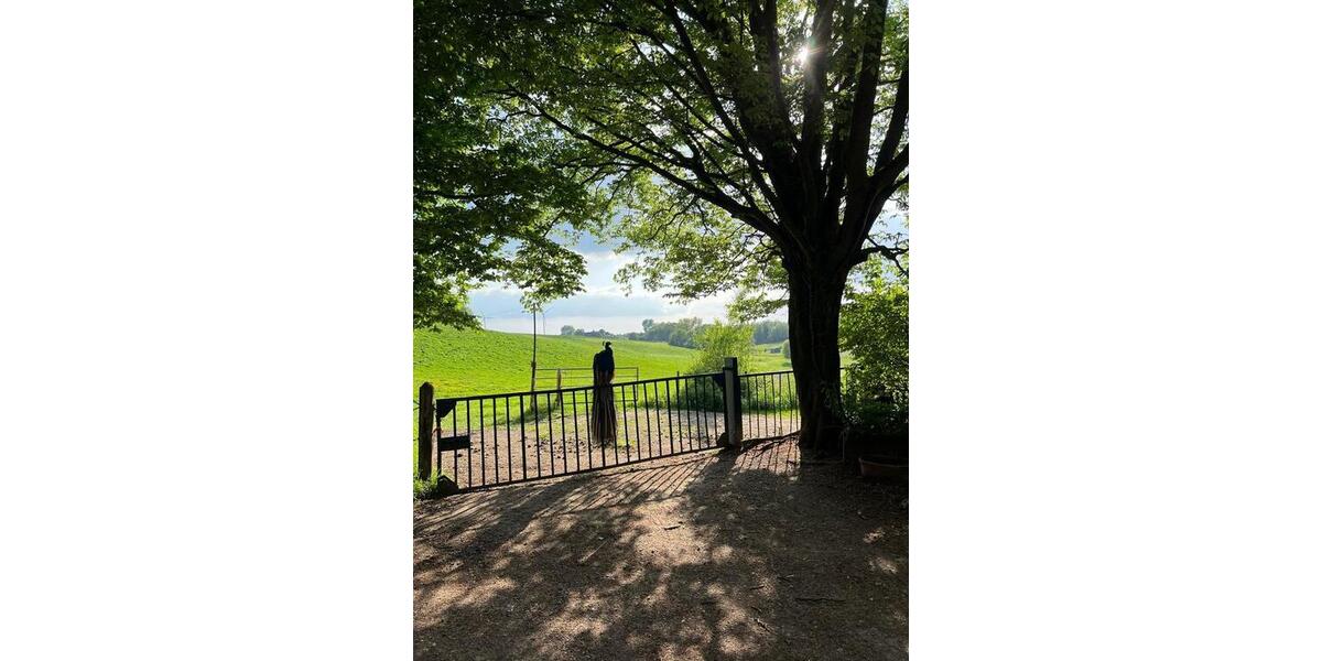 Dachgeschoßwohnung Aachen Aachen-Mitte - 5 Zimmer, 130 m&sup2;, 1.100&euro; | Angebot:25179103