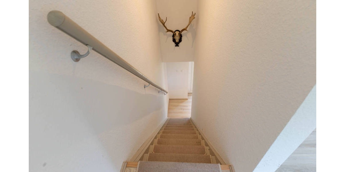 Doppelhaushälfte Albersdorf - 2 Zimmer, 100 m&sup2;, 850&euro; | Angebot:26751546