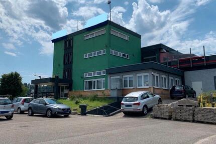 Wohnung Gengenbach - 10 Zimmer, 850 m&sup2;, 7.000&euro; | Angebot:26431306