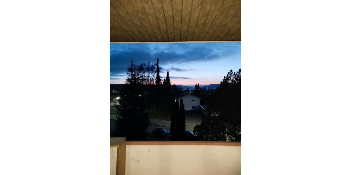 Dachgeschoßwohnung Tuttlingen - 1 Zimmer, 29 m&sup2;, 595&euro; | Angebot:25452053