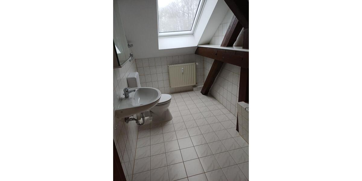 Dachgeschoßwohnung Pritzwalk - 1 Zimmer, 41 m&sup2;, 297&euro; | Angebot:25053554