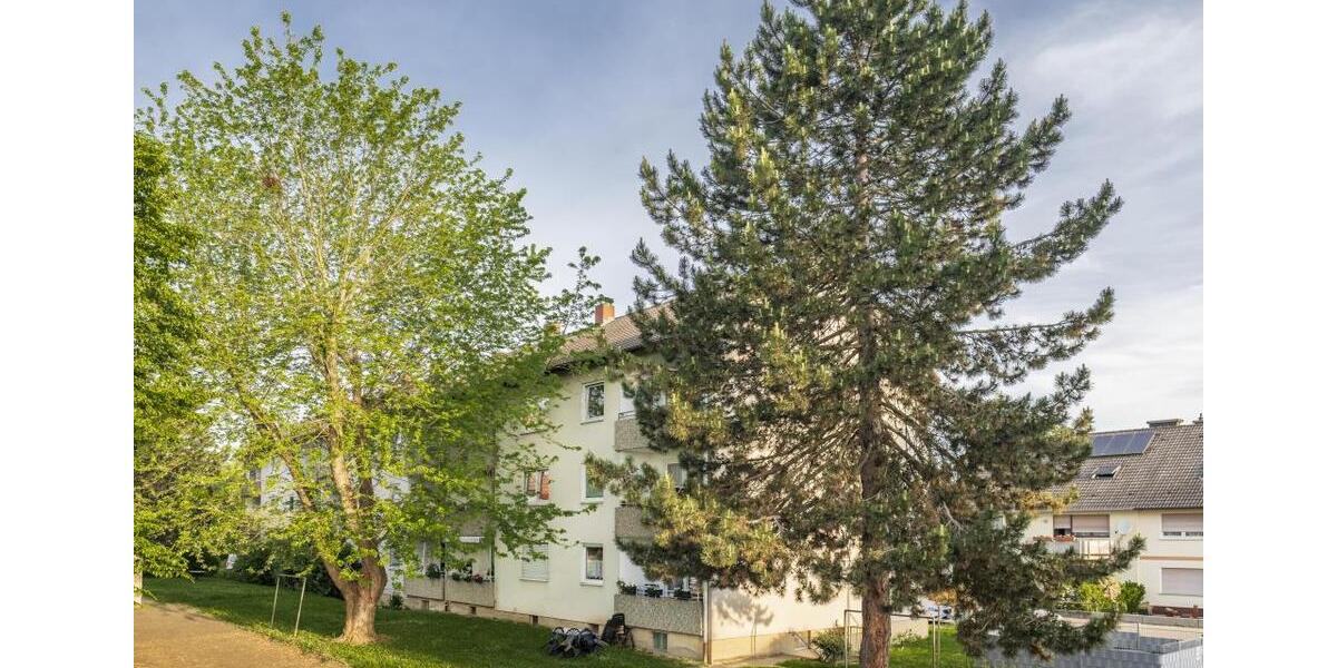 Etagenwohnung Kandel - 2 Zimmer, 56 m&sup2;, 519&euro; | Angebot:25136738