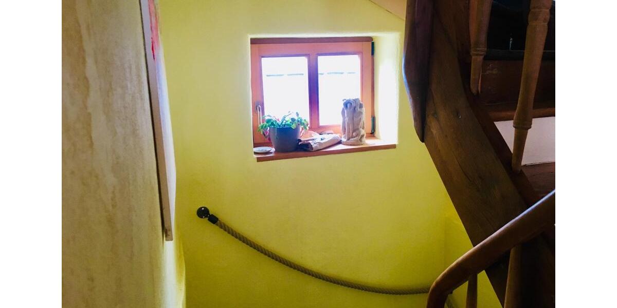 Geräumiges Dachgeschoss in tierfreundlichem Haus mit Garten 1 zimmer