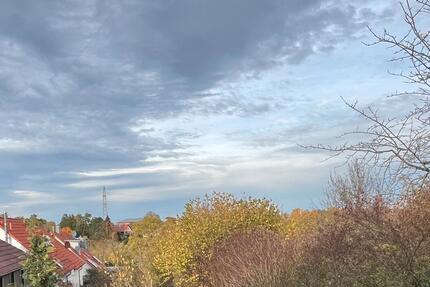 3,5 Zimmerwohnung im DG in Breitenstein zimmer