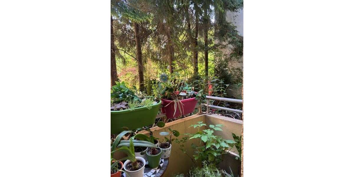 Etagenwohnung Dortmund Brackel - 3 Zimmer, 77 m&sup2;, 770&euro; | Angebot:26705221