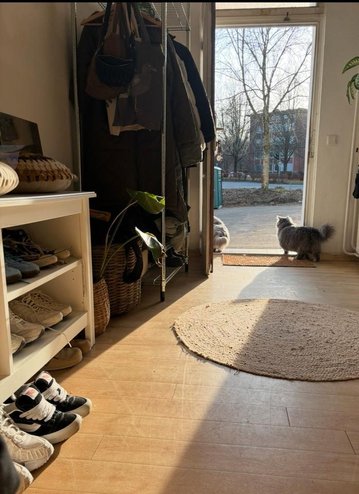 Schönes 25 Quadratmeter Zimmer in 2er Wg in Flensburg