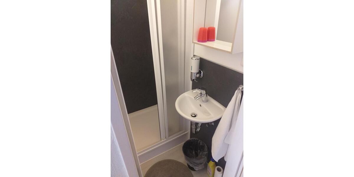 Wohnen auf Zeit Aachen Aachen-Mitte - 1 Zimmer, 15 m&sup2;, 650&euro; | Angebot:14487969