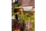 Etagenwohnung Nörten-Hardenberg Hardenberg - 2 Zimmer, 65 m&sup2;, 625&euro; | Angebot:26598450