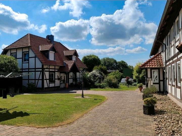 Erdgeschoßwohnung Süpplingen - 2 Zimmer, 79 m&sup2;, 550&euro; | Angebot:25057258