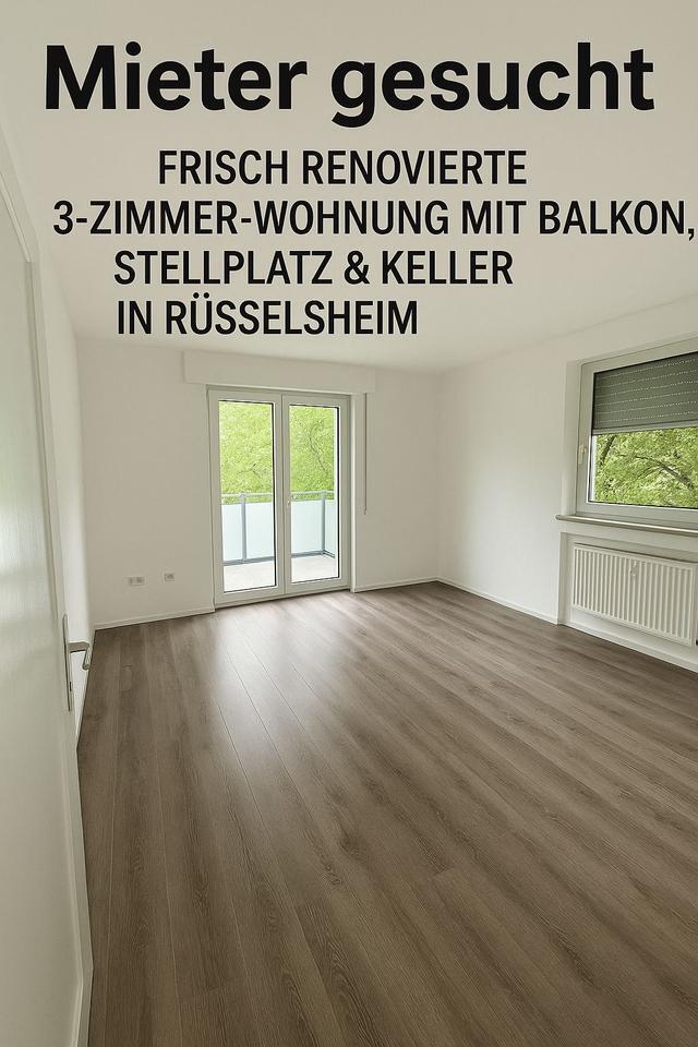 3 Zimmer Wohnung zimmer