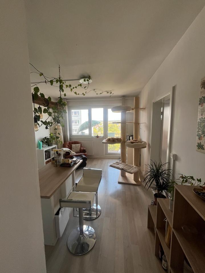 3-Raum-Apartment Erfurt Süd