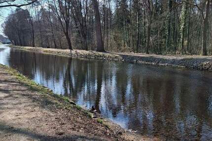 Wohnung Nürnberg Gartenstadt - 3 Zimmer, 89 m&sup2;, 960&euro; | Angebot:26015270