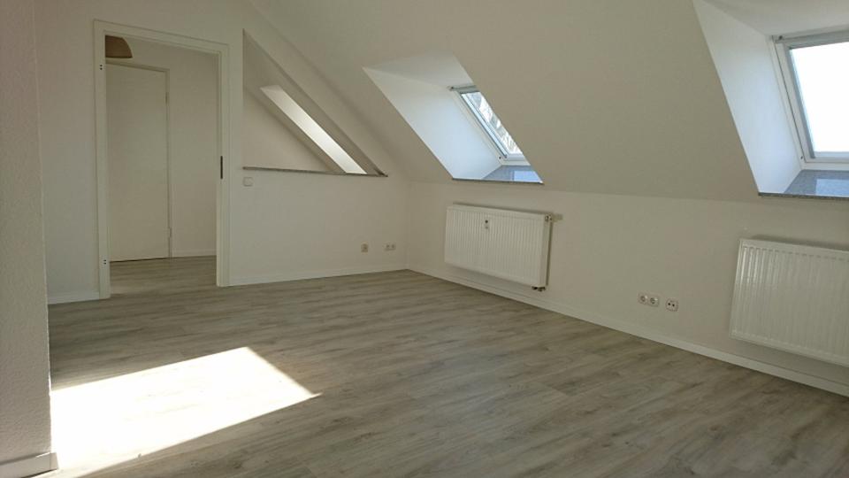 Dachgeschoßwohnung Riesa - 1 Zimmer, 36 m&sup2;, 250&euro; | Angebot:24786390