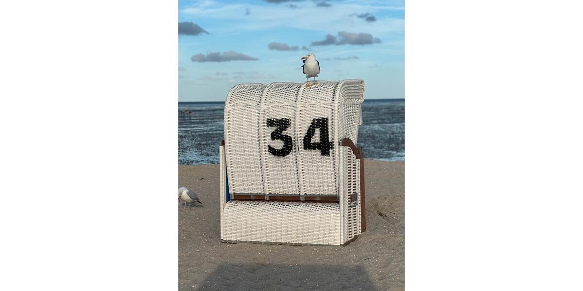 Wohnen auf Zeit Oldenburg Eversten - 1 Zimmer, 26 m&sup2;, 500&euro; | Angebot:25984830