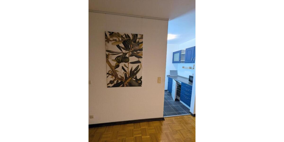 Etagenwohnung Köln Lindenthal - 2 Zimmer, 65 m&sup2;, 1.100&euro; | Angebot:26442791