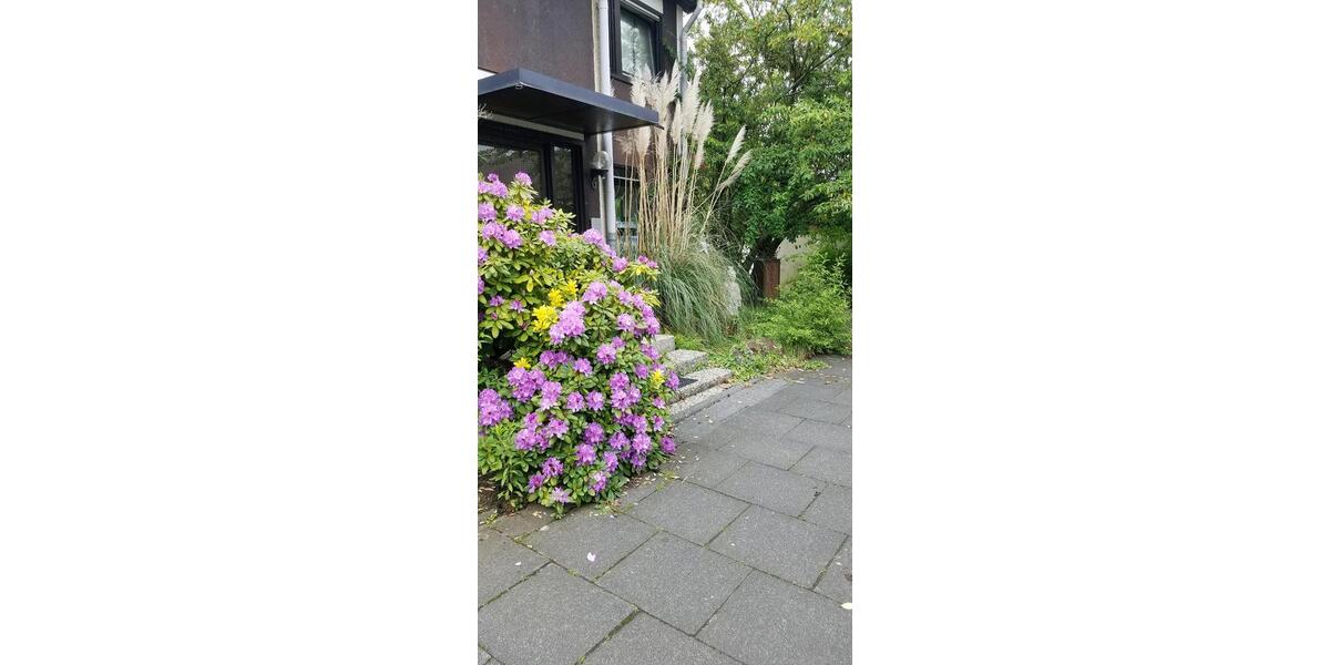 Dachgeschoßwohnung Troisdorf - 1 Zimmer, 38 m&sup2;, 520&euro; | Angebot:26702255