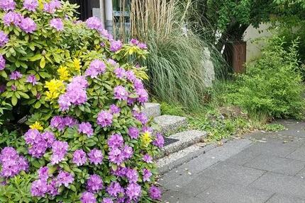 Wohnung Troisdorf - 1 Zimmer, 38 m&sup2;, 520&euro; | Angebot:26702255