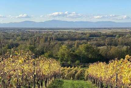 Wohnung Bad Bellingen Bamlach - 2 Zimmer, 74 m&sup2;, 1.280&euro; | Angebot:25938757